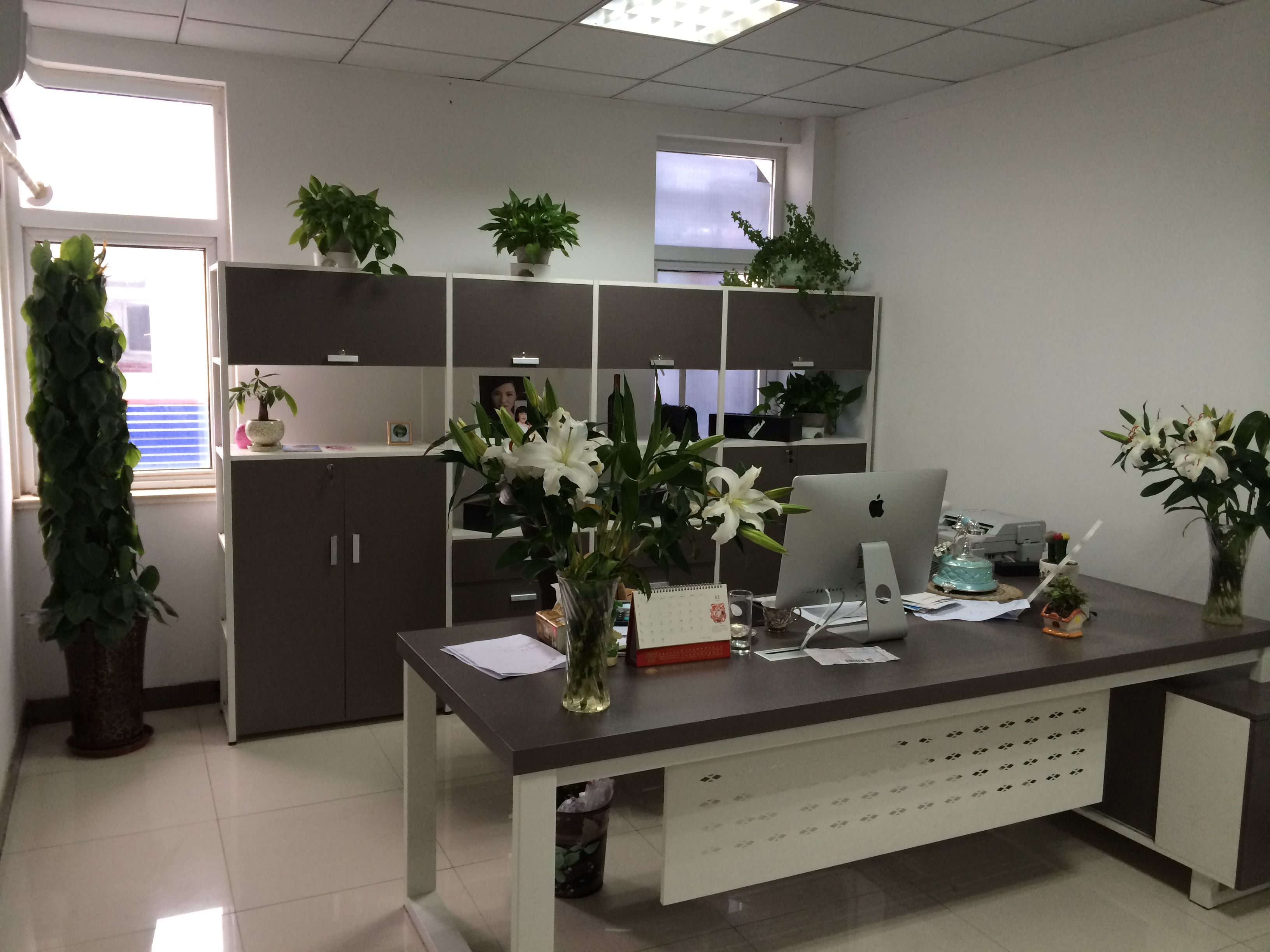 合肥绿植租摆
