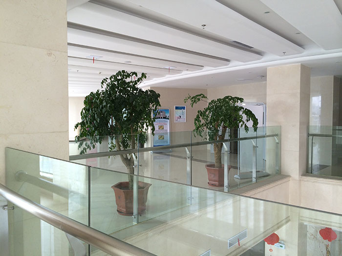 合肥绿植租摆